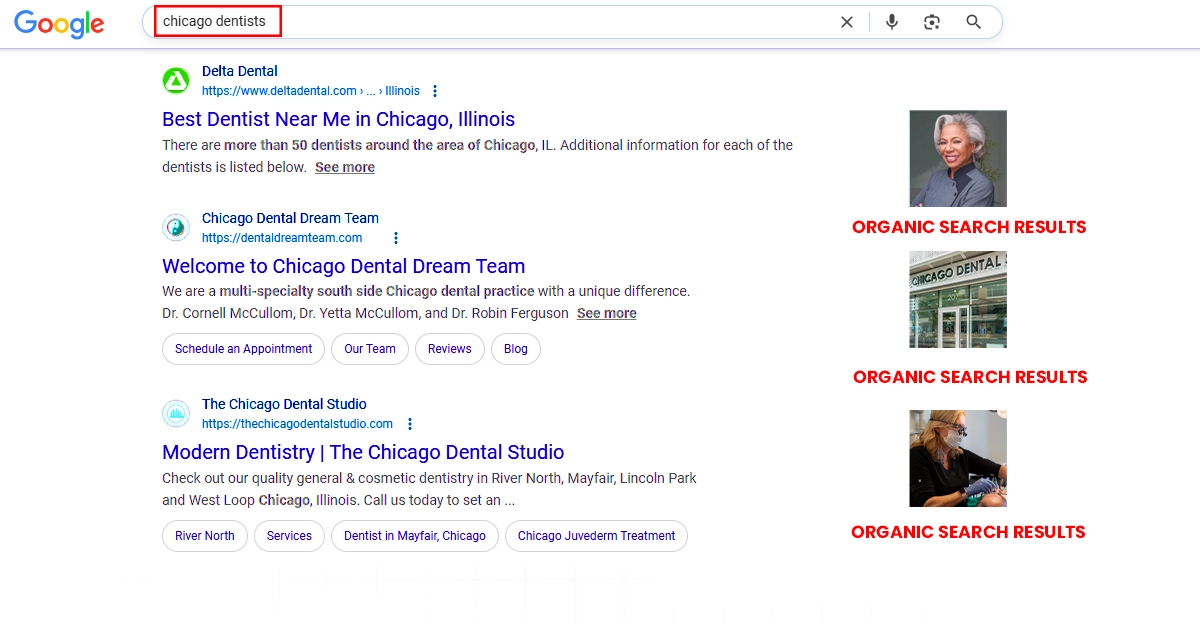 What Are The Organic Search Results