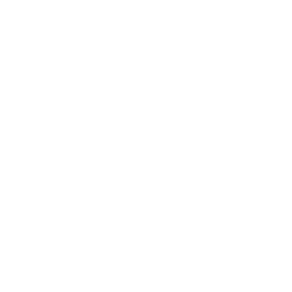 WordPress Seo Services