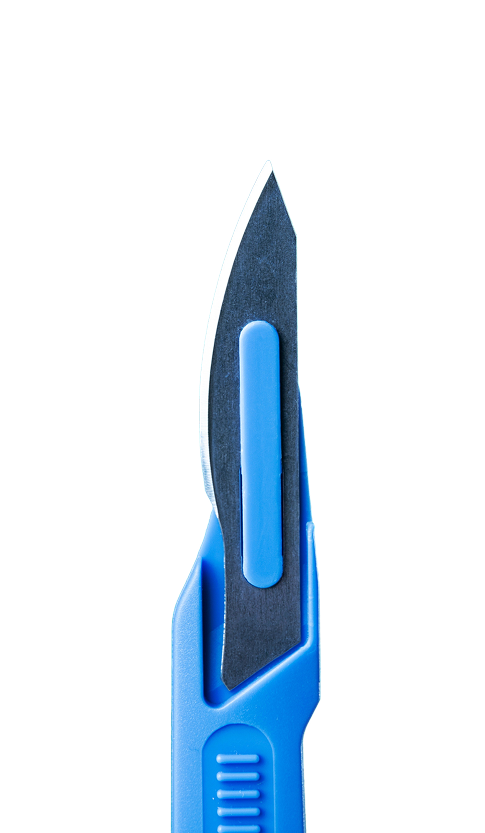 11 293678 e1761203589242